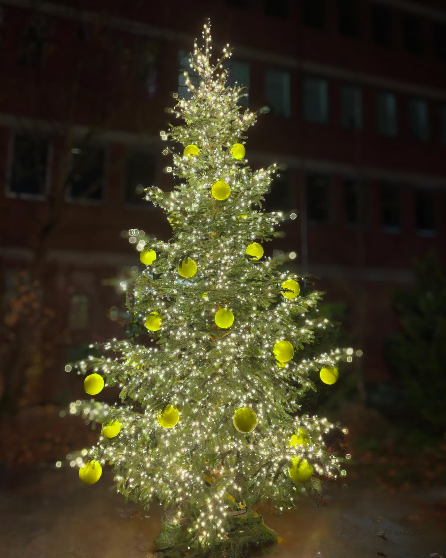 Weihnachtsbaum im Außenbereich, geschmückt mit gelben Kugeln und Lichterketten.