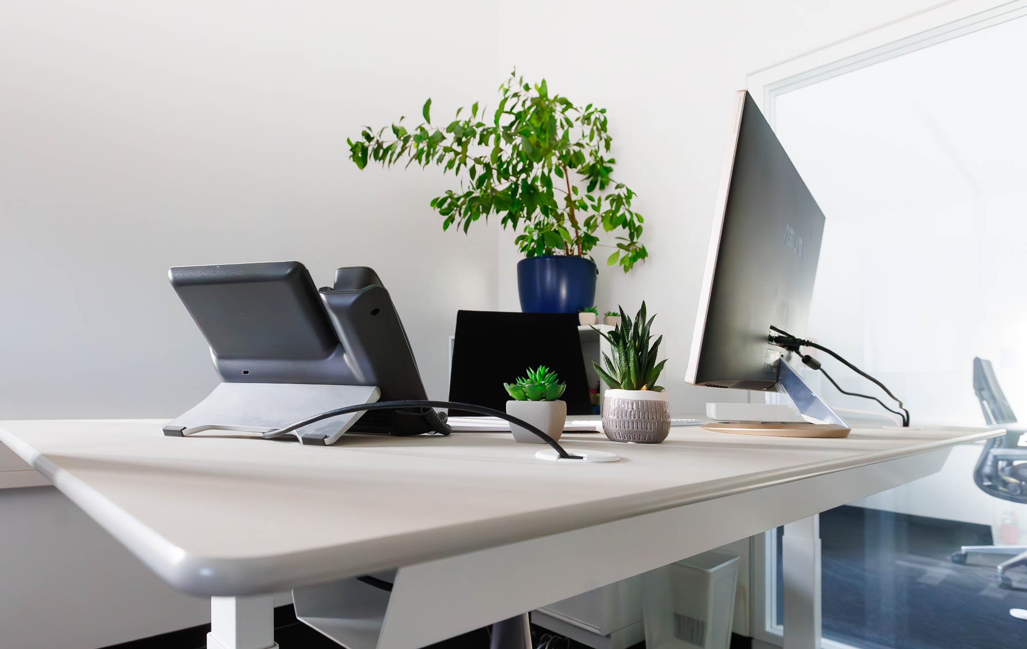 Heller Büro-Arbeitsplatz mit Monitor, Telefon, Laptop-Dockingstation und mehreren Pflanzen